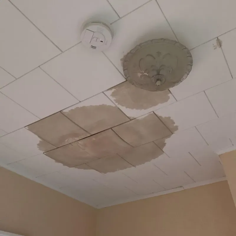 Ceiling Water Damage Repair in Camden, OH