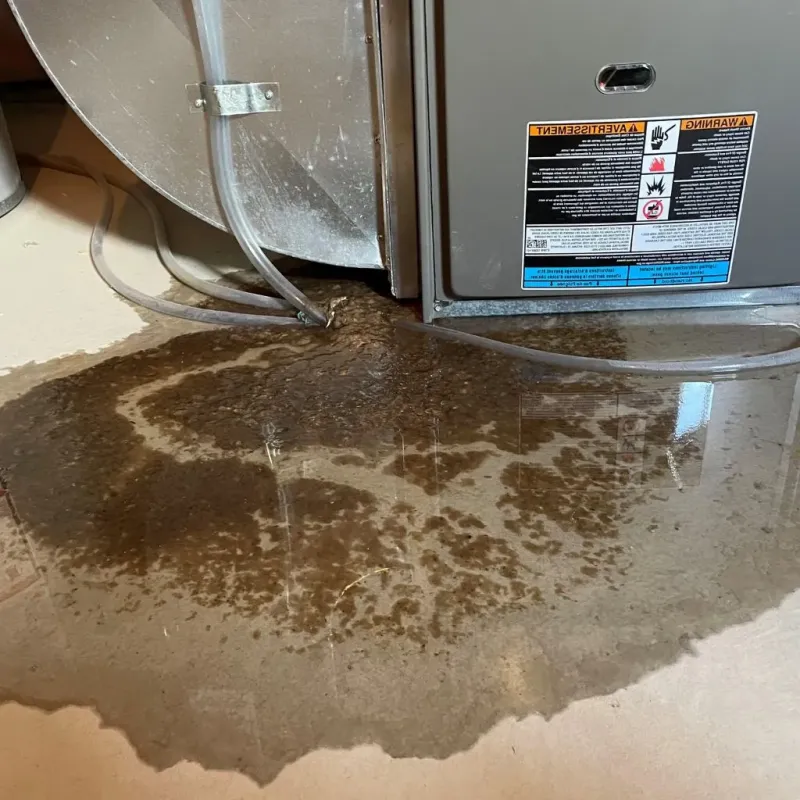 Pipe Burst and Leak Restoration in Camden, OH