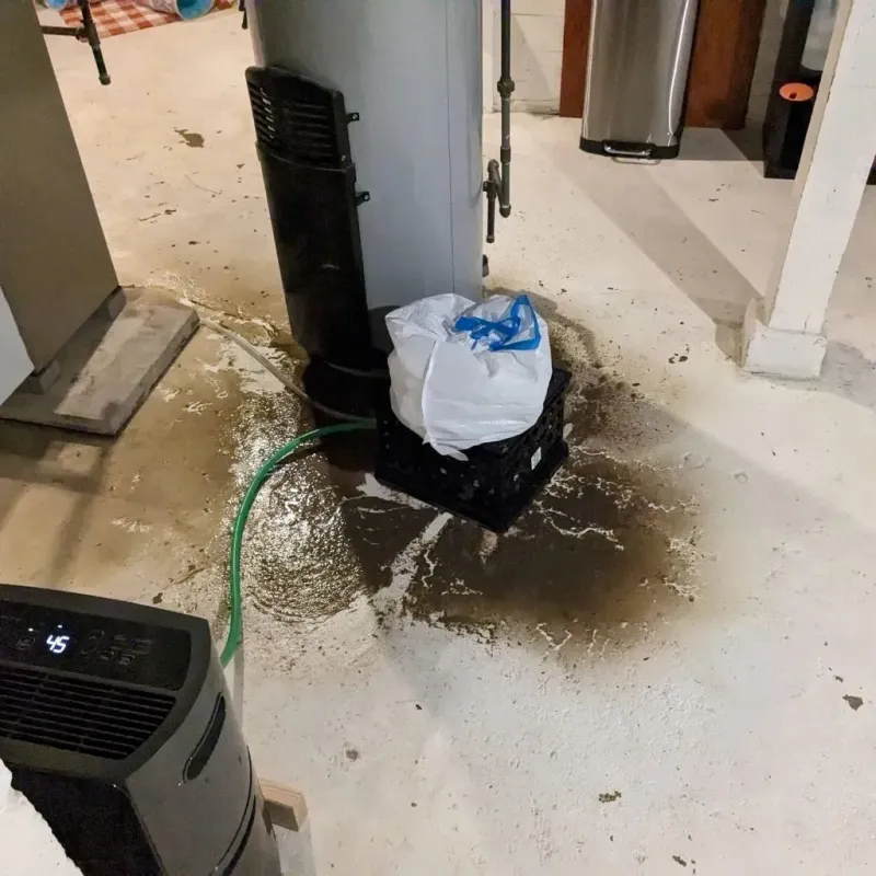 Sewage Backup Cleanup Service in Camden, OH
